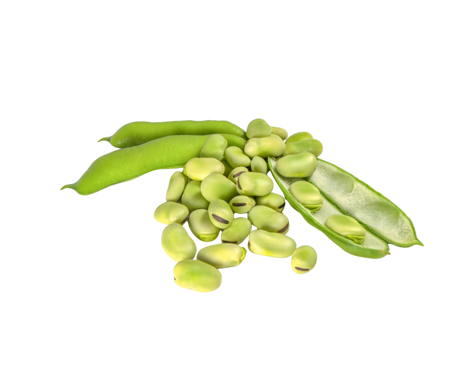 Broad Beans - 500g