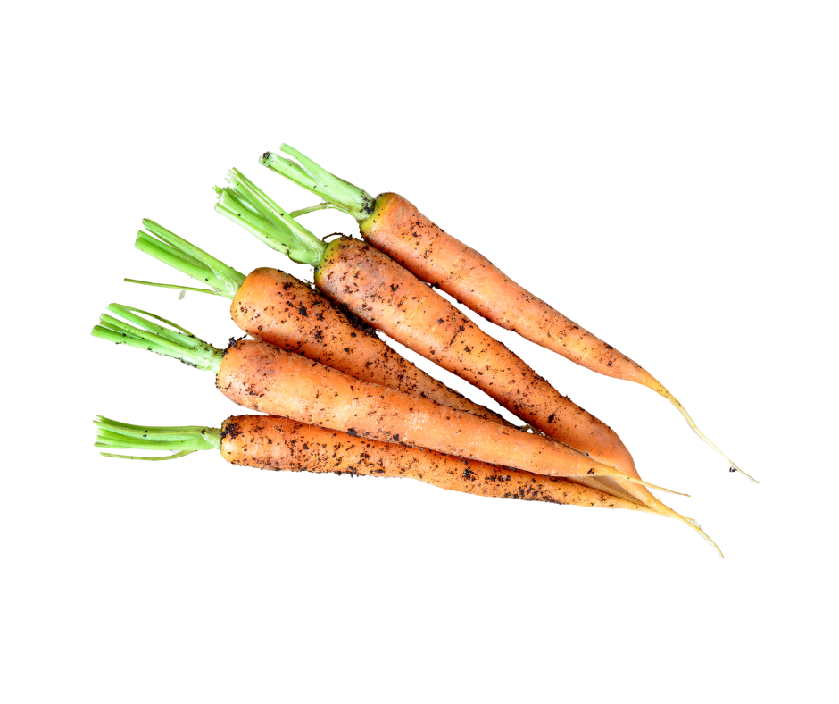 Bunched Carrots - 1kg (Dirty)