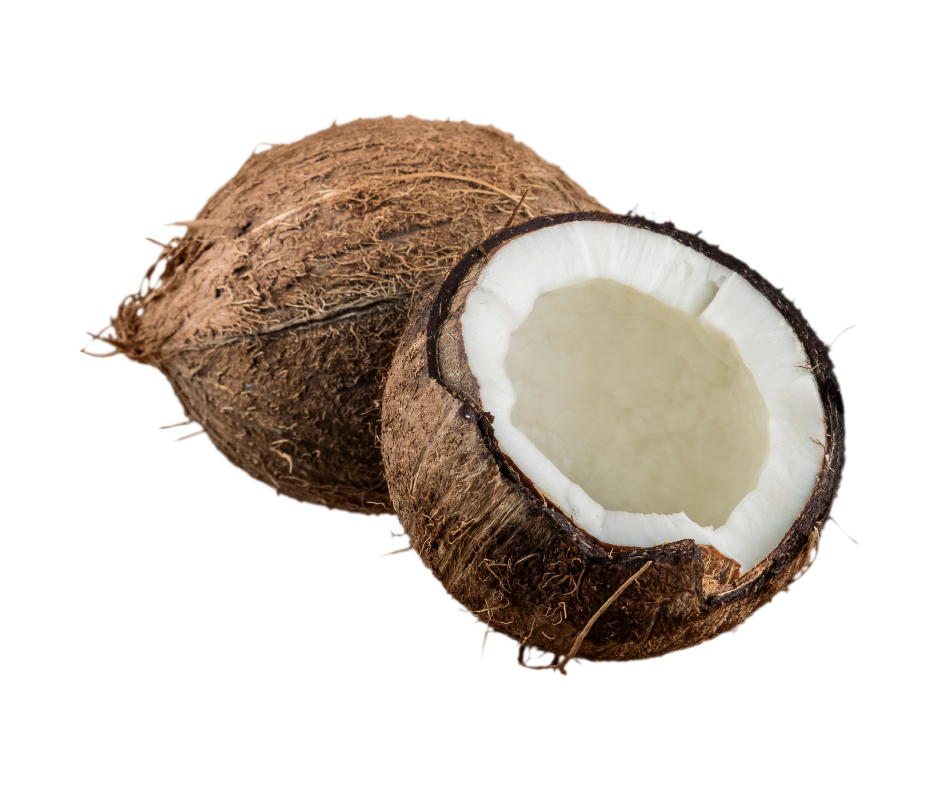 Coconuts (Each)