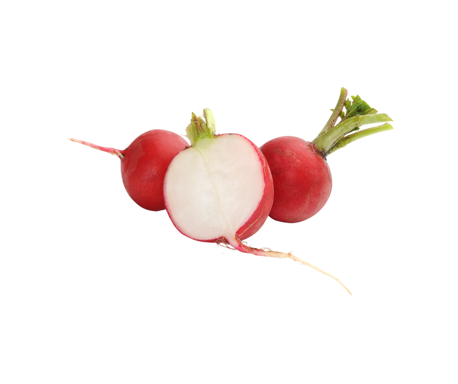 Cone Radish