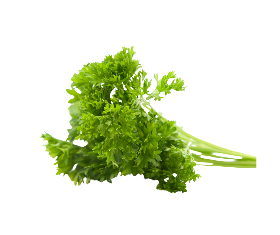 Curly Parsley