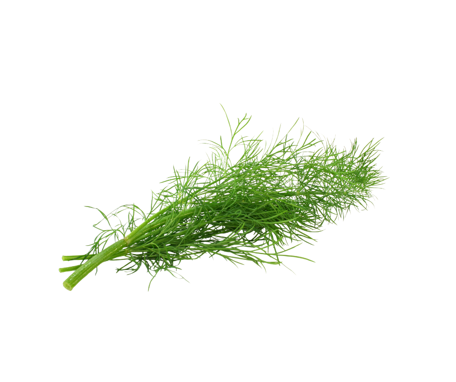 Dill