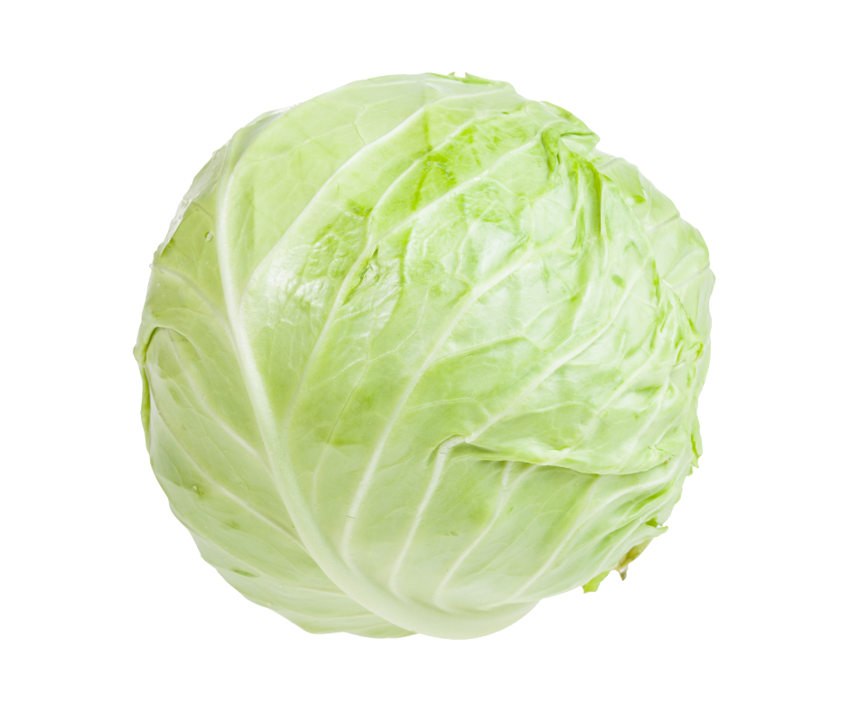 Drumhead Cabbage