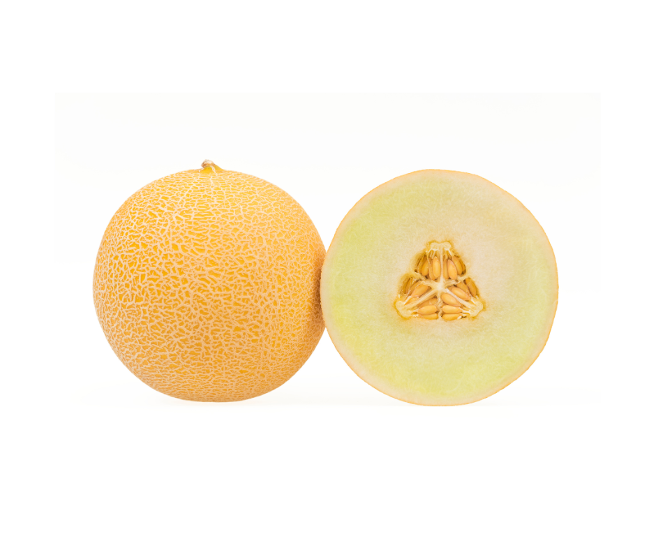 Galia Melon