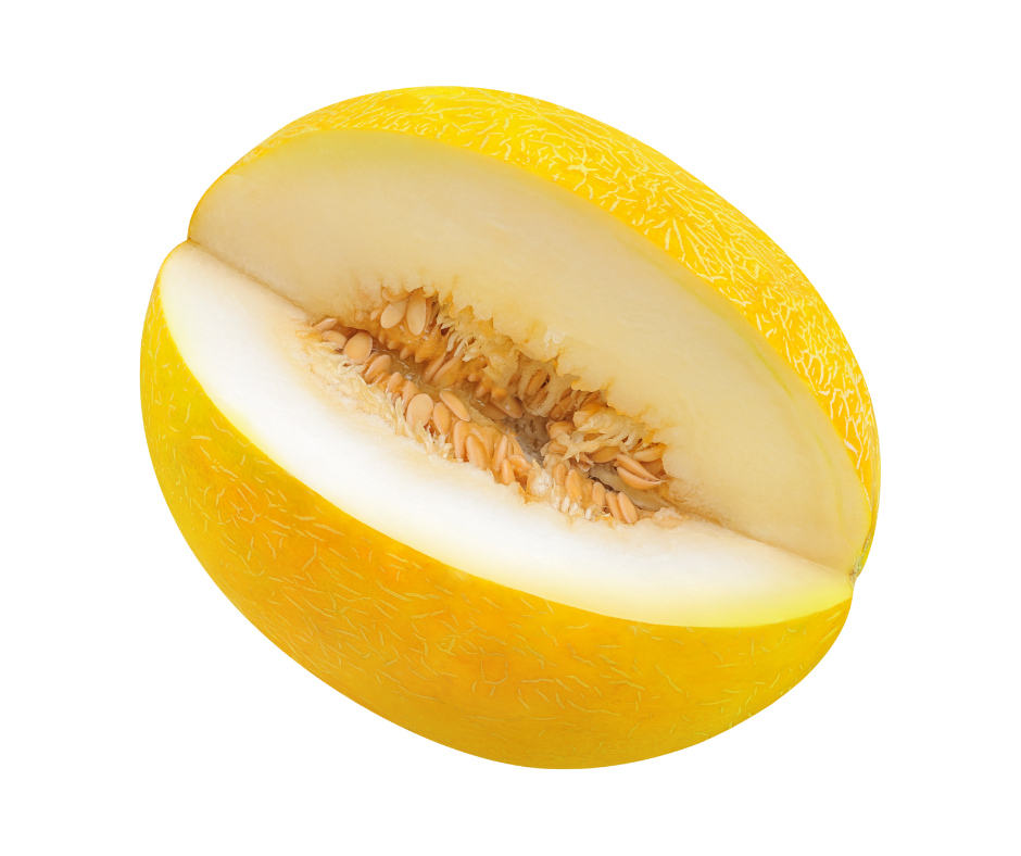 Large Honeydew Melon