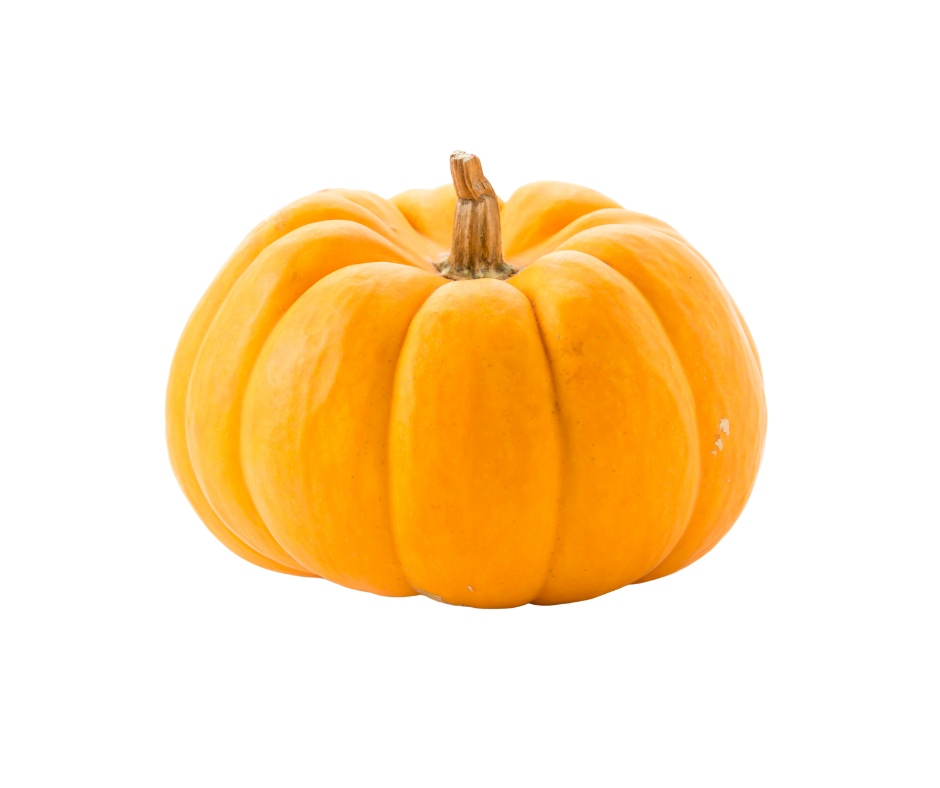 Pumpkin - Medium