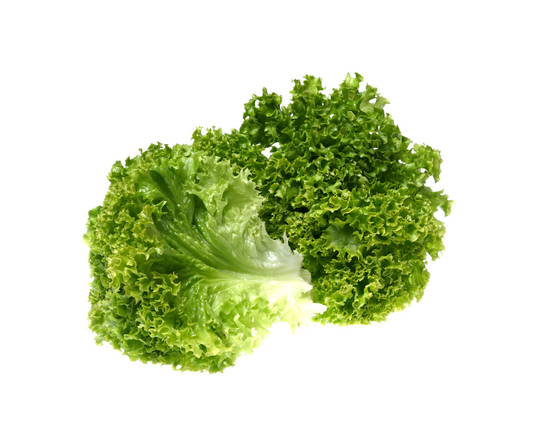 Biondi Lettuce