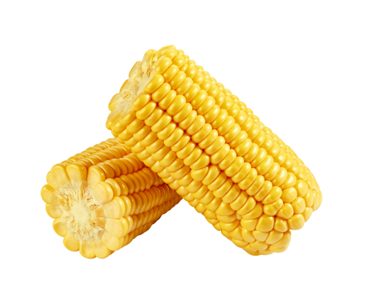 Fresh Corn