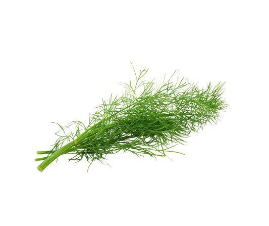Dill