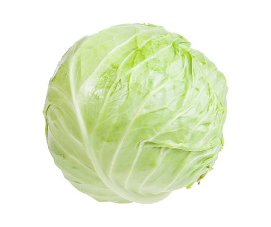 Drumhead Cabbage