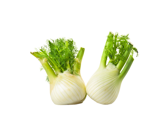 Fennel