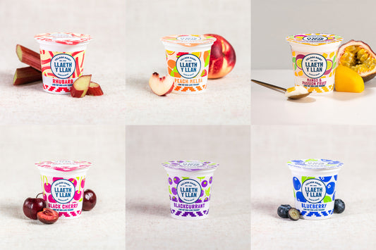 6 Mixed Fruit Welsh Yogurts - 150g