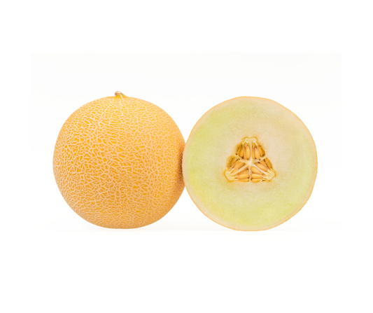 Galia Melon
