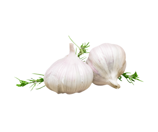 Garlic Bulbs