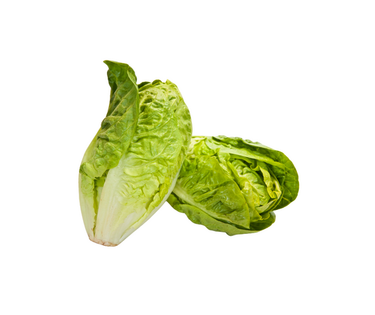 Little Gem Lettuce