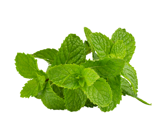 Mint