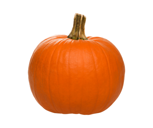 Pumpkin - Large