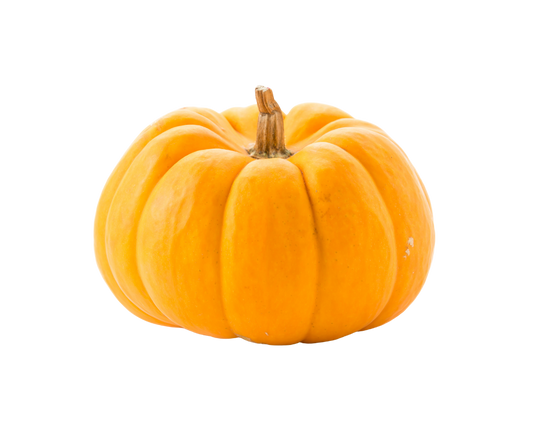 Pumpkin - Medium