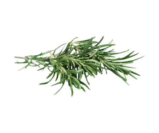 Rosemary
