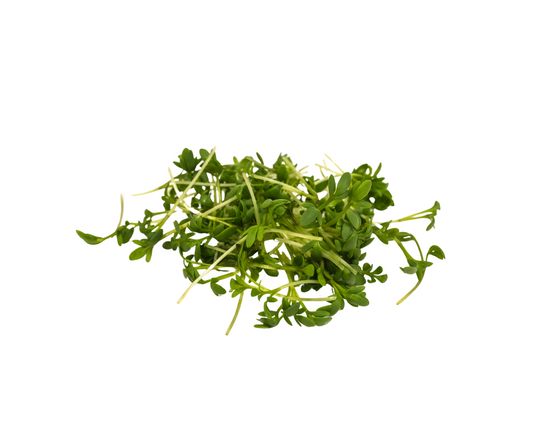 Bunch of fresh green cress on a white background