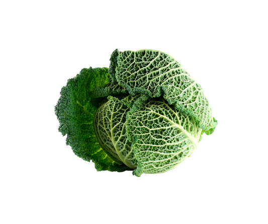 Savoy Cabbage