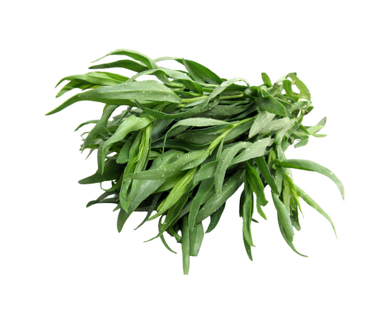 Tarragon