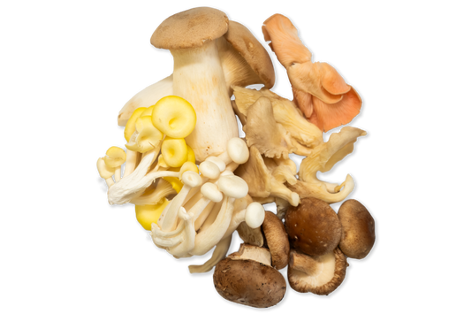 Wild Mushrooms