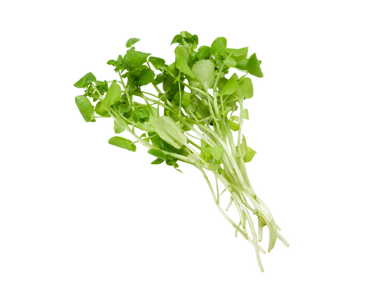 Wirral Watercress